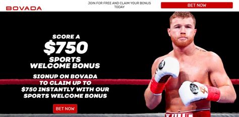 bovada mayweather odds
